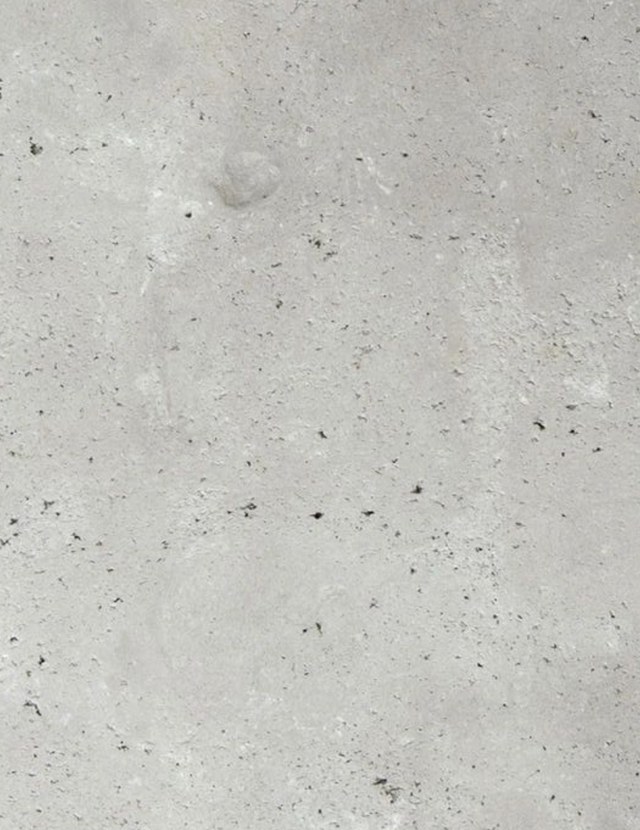 Texture béton